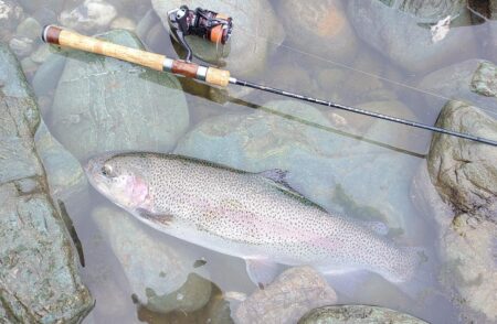 厳しい！ ～天竜川ルアーフライテンカラ専用区～